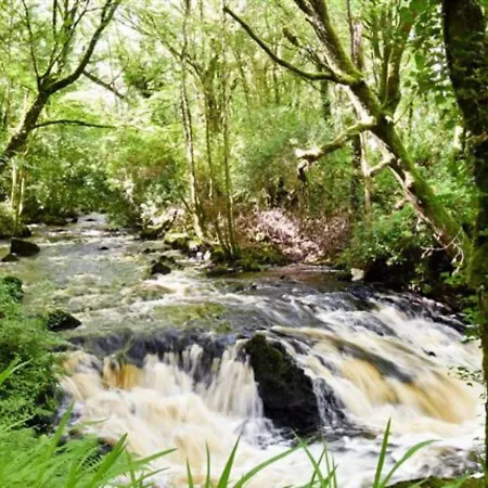 Ross House Hotell Killarone